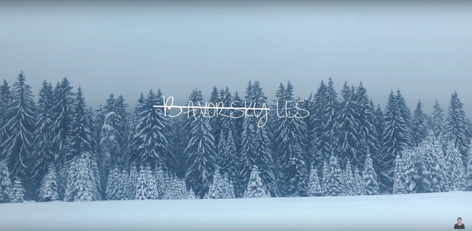 Nahliadnite do krásnej zimnej krajiny Bavorského lesa, alebo sa nechajte inšpirovať cestovateľskými zážitkami Patrika Paulinyiho